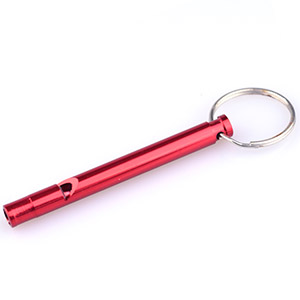 whistle keychain