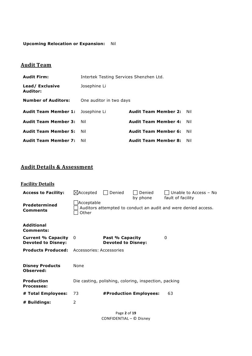 Disney Audit Report (2)