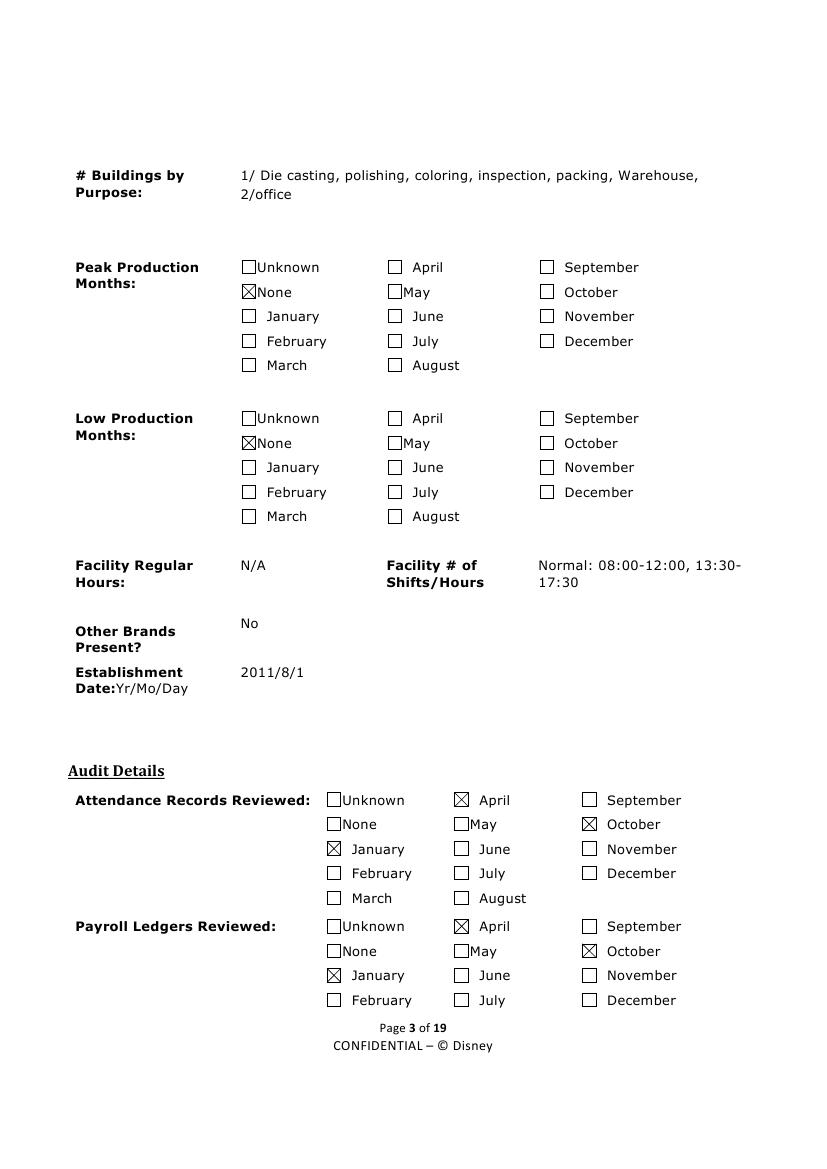 Disney Audit Report (3)