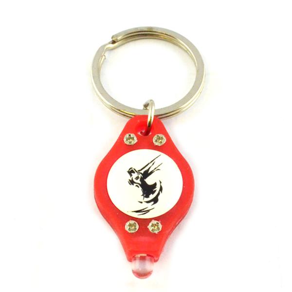 Colorful Keychain with light 