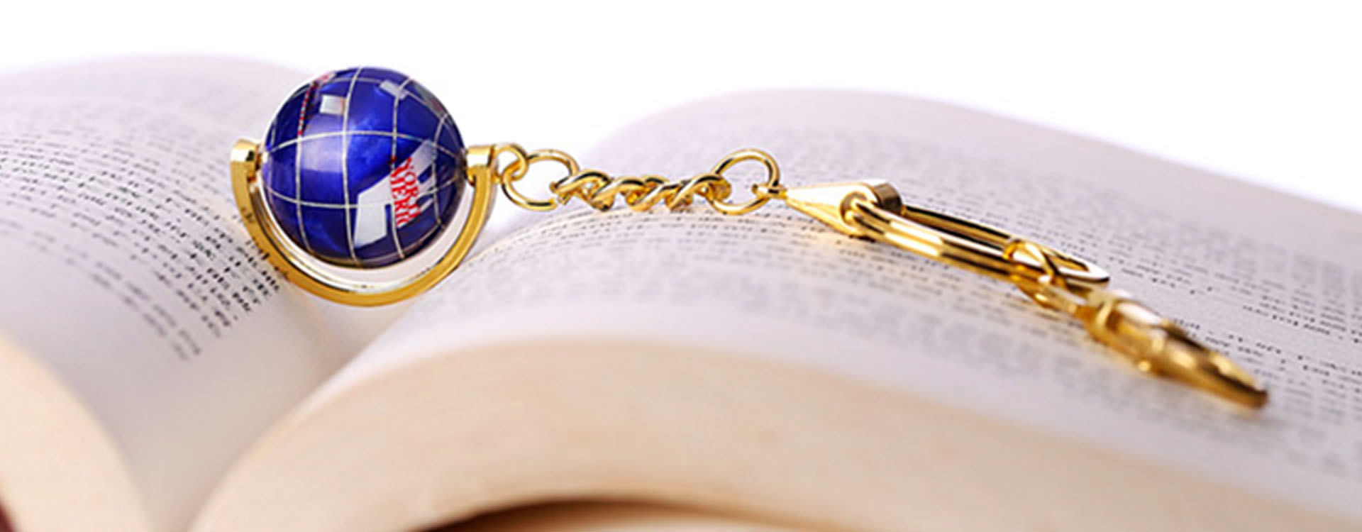 Custom Hard Enamel Keychains